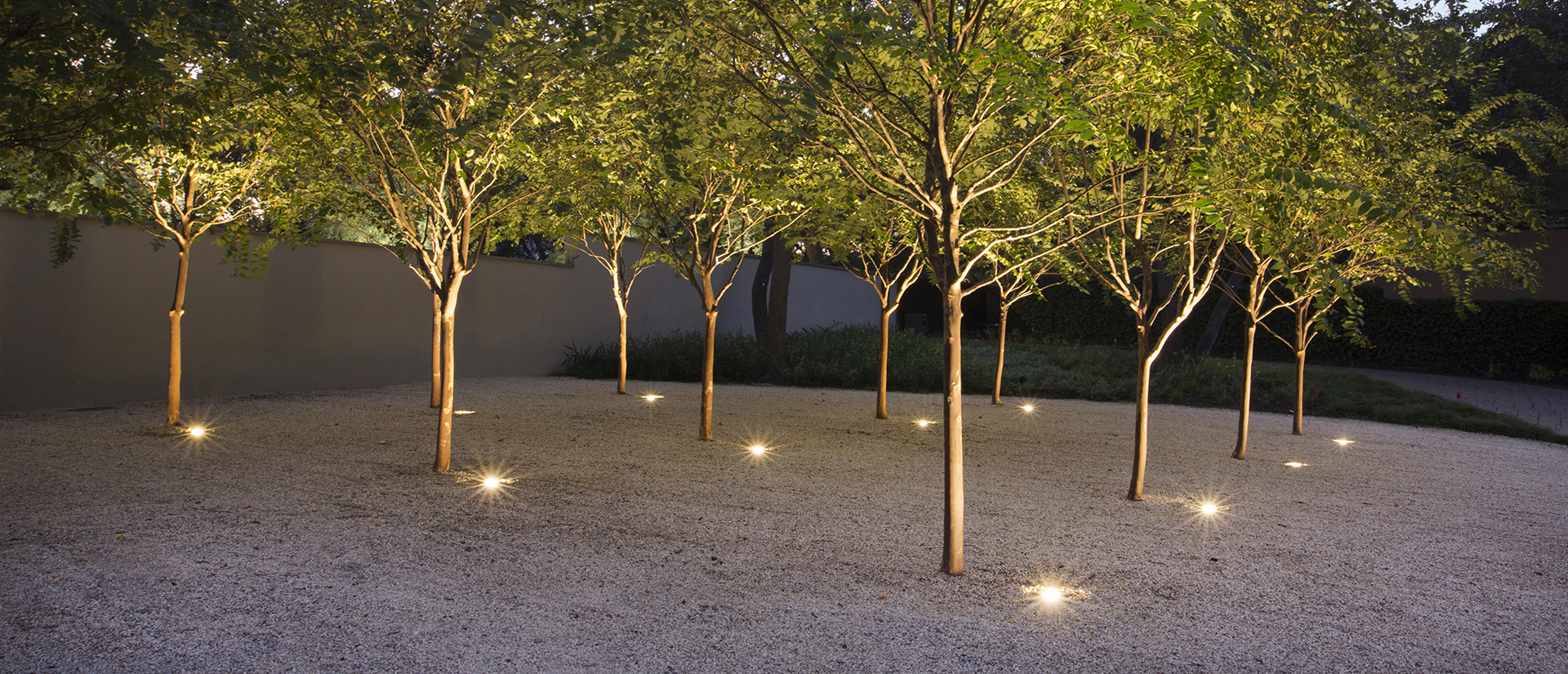 Landscape design featuring lighted trees