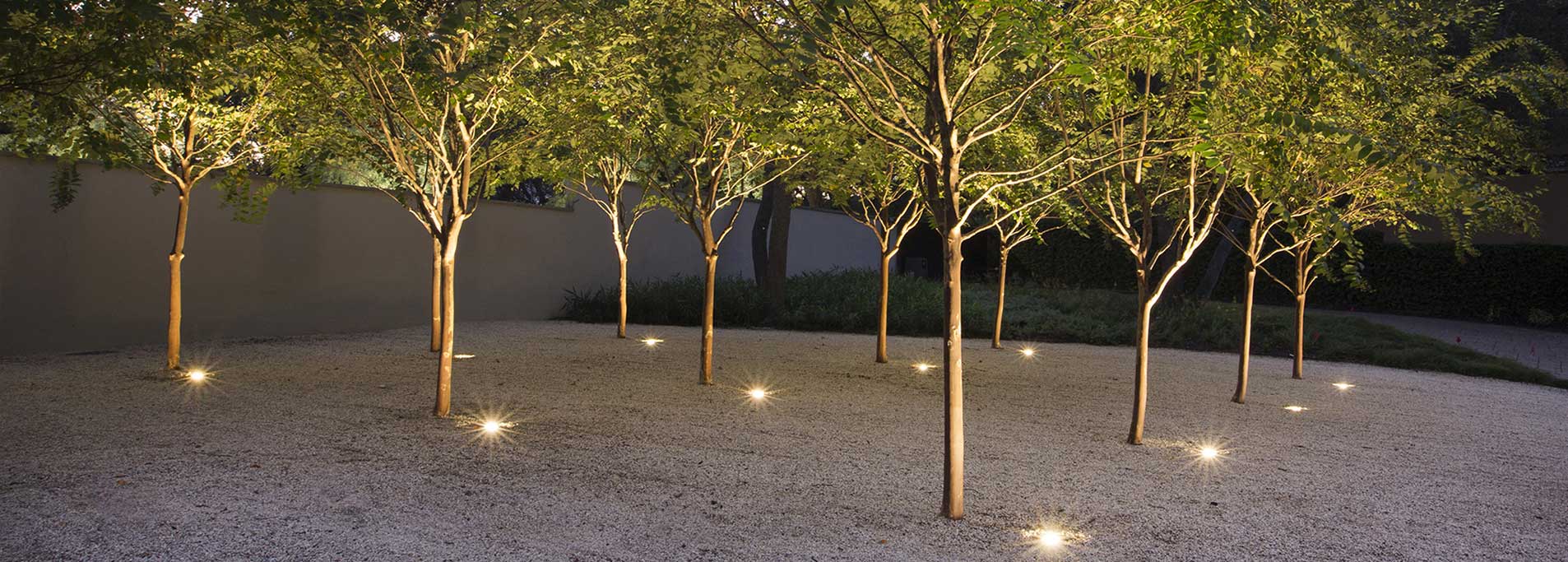 Landscape design featuring lighted trees